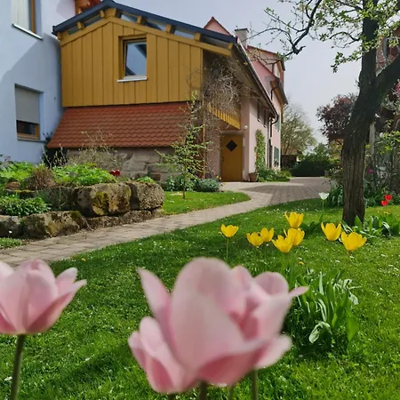 Ferienwohnung Wiesenhof Neuhof an der Zenn Exterior photo